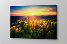 Obraz Nespútaná divočina 1925